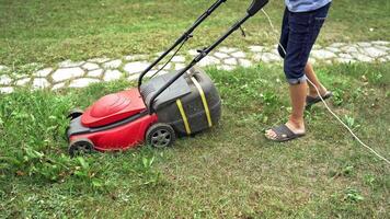 Lawn Mover in action. Lawn mower cut grass. Summer seasonal workers in backyard. video
