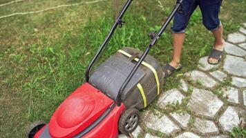 A lawn mower is cutting green grass. Young boy with a lawn mower is working in the backyard video