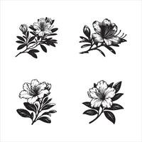 Silhouette Of Azaleas Flower isolated on white vector