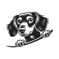 Cute Wiener Dog Dachshund Sausage Doggo in the desert vector