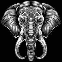 an elephant head in a woodcut style design art vector