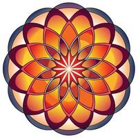 a colorful flower with a star in the center vector