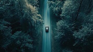 Exploring Nature's Path photo
