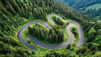 Exploring Nature's Green Path photo