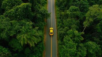 Nature's Escape Route photo