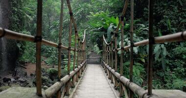First person view walking on food path with bamboo bridge in the tropical rain forest video