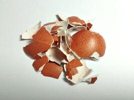 egg shell fragments on the top of white background photo