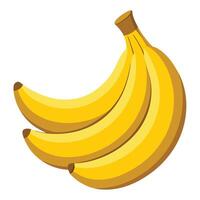 Drawing of Banana's vector