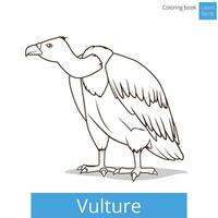 Vulture bird learn birds educational game coloring book illustration vector