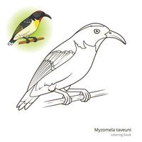Myzomela taveuni bird learn birds educational game coloring book illustration vector