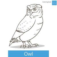 Owl bird learn birds educational game coloring book illustration vector