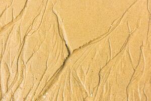 Top view of a sand sea bottom photo