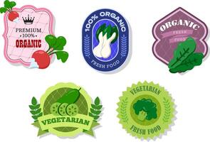Different retro vegetables banner and labels. Packaging tags with sorrel, bok choy, cucumber, broccoli, radish. Set of seasonal vegetables labels stickers and marks or badges template for packaging vector