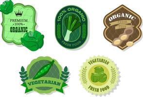 Different retro vegetables banner and labels. Packaging tags with Brussels sprouts, peas, iceberg lettuce, leek, soybeans. Set of seasonal vegetables labels stickers and marks template for packaging vector