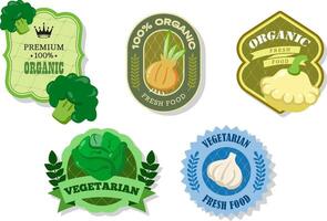 Different retro vegetables banner and labels. Packaging tags with patissons, iceberg lettuce, onion, garlic, broccoli. Set of seasonal vegetables labels stickers and marks template for packaging vector