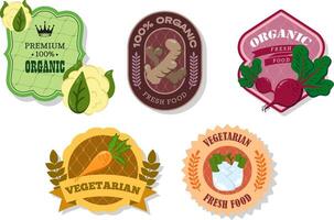 Different retro vegetables banner and labels. Packaging tags with cauliflower, beetroot, ginger, carrot, fennel. Set of seasonal vegetables labels stickers and marks or badges template for packaging vector