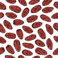 Date fruit seamless pattern. Palm fruit motif from middle east om white background vector