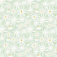 Seamless Pattern of White Daisy Flowers on a Light Green Background vector