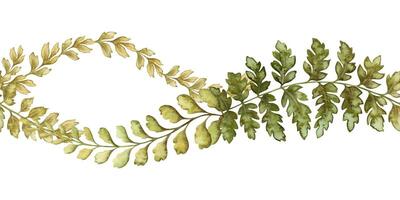 Fern leaves curved seamless border in the earth green colors. Hand drawn watercolor botanical element with textured foliage. Perfect for the use of ecological material and sustainable designs. vector