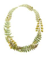 Oval wreath with fern leaves botanical card template in earth tone. Hand drawn watercolor elegant floral frame. Perfect for the use of ecological material and modern designs. vector