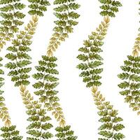 Fern leaves seamless pattern on white background. Hand drawn watercolor botanical surface with textured prehistoric foliage. Perfect for the use of ecological material and sustainable designs. vector