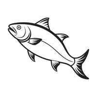 Salmon fish drawing vector