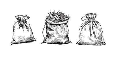 Hand sketched whole bag of corn vector