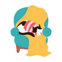 Tuxedo cat in a striped sweater sleeps on a chair in flat style. Perfect for postcard, winter and autumn cozy design. vector