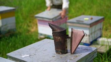 Beekeeping tool on apiary. Black smoker on a beehive. Beekeeper works at the apiary. Bee chimney stands on a hive. Close-up. video