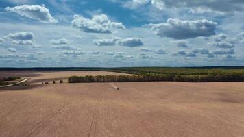Panoramic view of nature in spring. Agricultural tractor working on the field under blue sky. Tractor sprinkles the field with chemicals. Aerial view. video