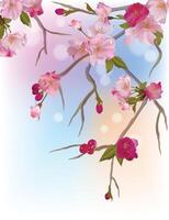 Spring background with gentle sakura branches of flowers vector