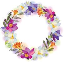 Greeting or invitation card with beautiful pictorial freesia flowers in the round garland on the white background with empty place for your text. vector