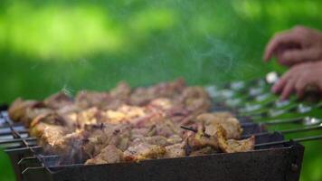 Grilling barbecue meat on wood coal. Process of cooking roasted meat on skewers in a charcoal grill. Man preparing barbecue with delicious grilled meat. video