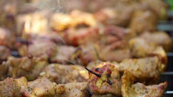 Barbecue in smoke. Meat on skewers cooking on the grill. Pork meat on the mangal in nature. Tasty shashlik cooking on the coals. Close-up. video