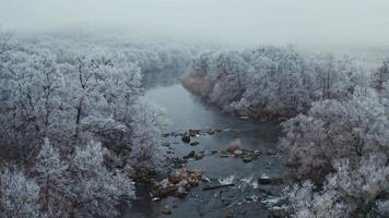 Scenic view of nature in winter. Flight over the shallow river with white trees from both sides. Snowy trees near the river. Aerial view. video