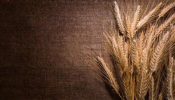 high-resolution photo of golden wheat pods neatly arranged on a textured brown fabric background, perfect for natural and agricultural themes