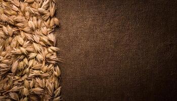 high-resolution photo of wheat pods arranged on a textured brown fabric background, perfect for agriculture, harvest, and rustic organic themes