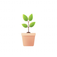 A small green plant thriving in a simple terracotta pot, symbolizing growth and nature. png