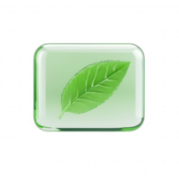 A vibrant green leaf displayed on a translucent background, symbolizing nature. png