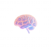 An artistic representation of a brain, showcasing neural connections and vibrant colors. png
