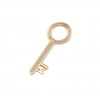 A golden key symbolizing security and access to opportunities. png