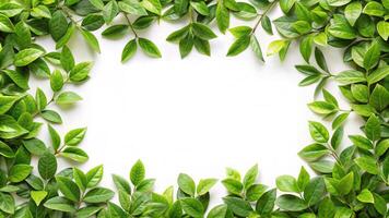 green leaves frame photo