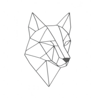 A geometric illustration of a wolf's head with sharp lines and modern design. png