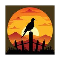 Dove Perched On Bird Vectors