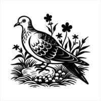 Dove On Mossy Log Images vector