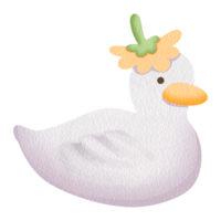 flower duck breeds floating png