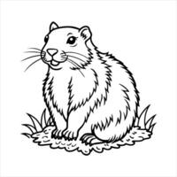 Groundhog Sketch Vectors