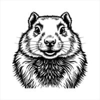 Groundhog With Detailed vector