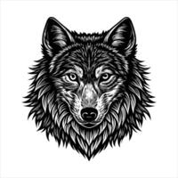 Wolf With Piercing Eyes Images vector