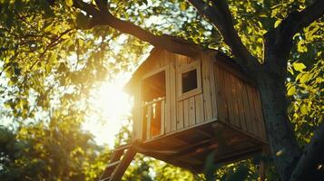 Wooden treehouse nestled in tree with warm sunlight